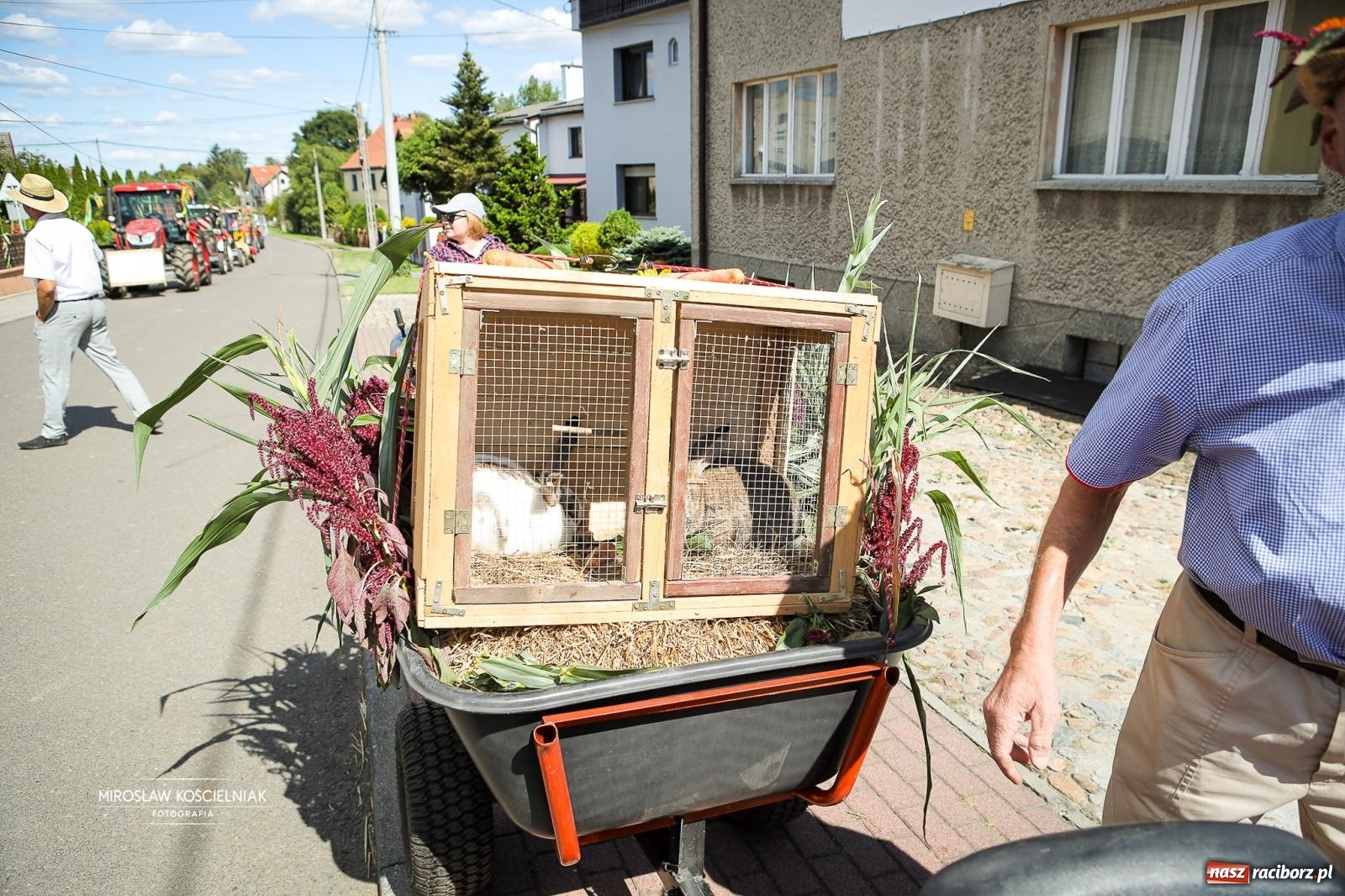Zdjęcie w galerii na portalu naszraciborz.pl: Dożynki w Bolesławiu pełne atrakcji i dobrej zabawy [FOTO i WIDEO] wiadomości z regionu