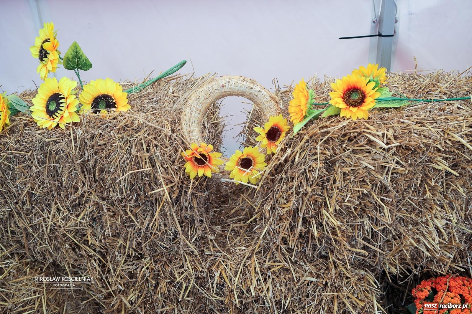 Zdjęcie w galerii na portalu naszraciborz.pl: Dożynki w Bolesławiu pełne atrakcji i dobrej zabawy [FOTO i WIDEO] wiadomości z regionu
