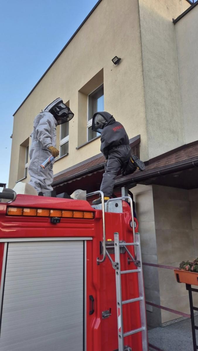 Zdjęcie w galerii na portalu naszraciborz.pl: Raport 998: pożar w Szonowicach, kolizja i inwazja szerszeni wiadomości z regionu