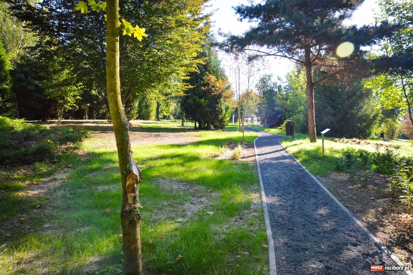 Zdjęcie w galerii na portalu naszraciborz.pl: Nowe, wyjątkowe miejsce na mapie powiatu raciborskiego. Z rajską jabłonią [FOTO i WIDEO] wiadomości z regionu