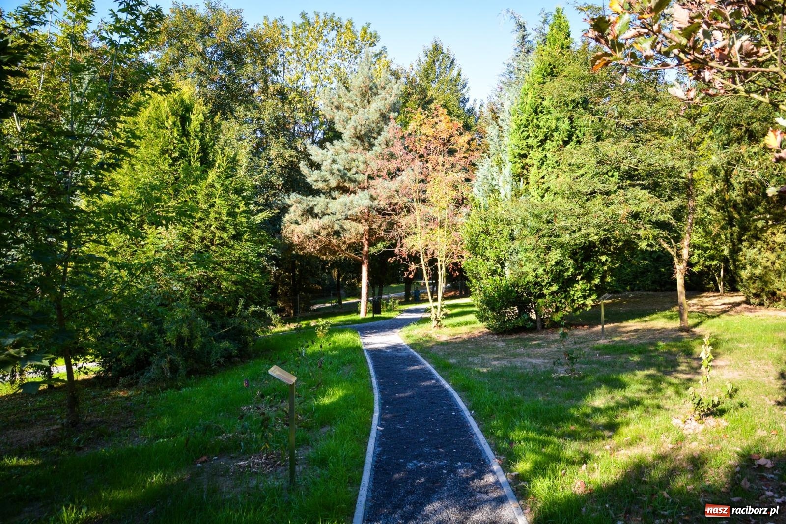 Zdjęcie w galerii na portalu naszraciborz.pl: Nowe, wyjątkowe miejsce na mapie powiatu raciborskiego. Z rajską jabłonią [FOTO i WIDEO] wiadomości z regionu