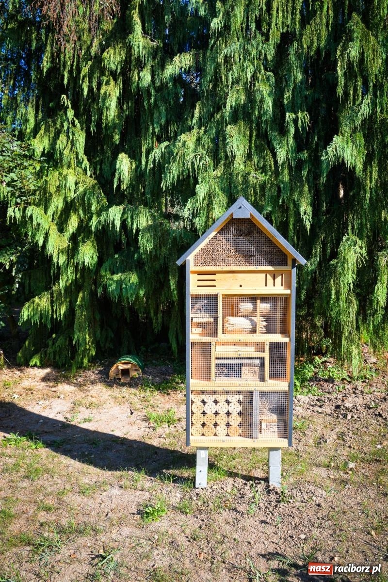 Zdjęcie w galerii na portalu naszraciborz.pl: Nowe, wyjątkowe miejsce na mapie powiatu raciborskiego. Z rajską jabłonią [FOTO i WIDEO] wiadomości z regionu