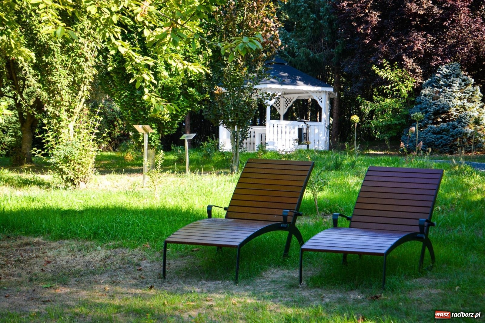 Zdjęcie w galerii na portalu naszraciborz.pl: Nowe, wyjątkowe miejsce na mapie powiatu raciborskiego. Z rajską jabłonią [FOTO i WIDEO] wiadomości z regionu