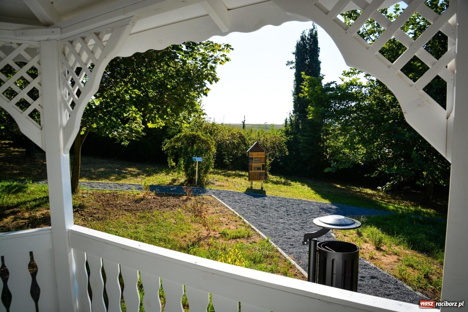 Zdjęcie w galerii na portalu naszraciborz.pl: Nowe, wyjątkowe miejsce na mapie powiatu raciborskiego. Z rajską jabłonią [FOTO i WIDEO] wiadomości z regionu