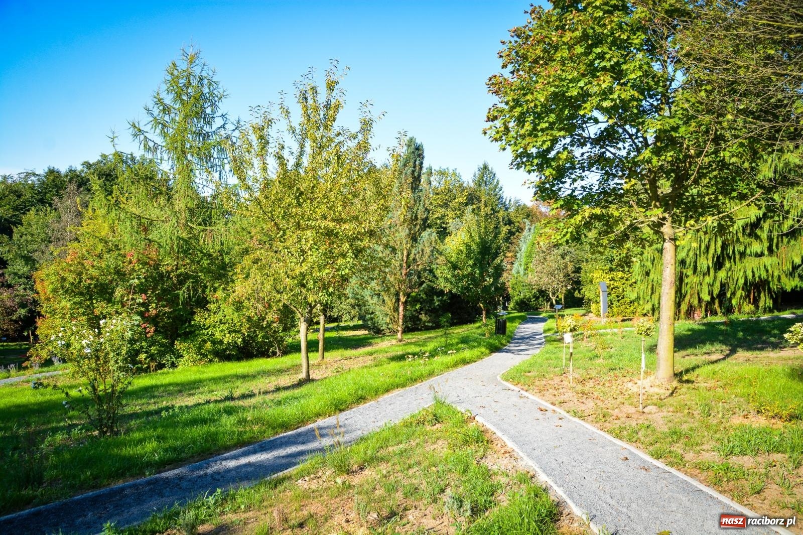 Zdjęcie w galerii na portalu naszraciborz.pl: Nowe, wyjątkowe miejsce na mapie powiatu raciborskiego. Z rajską jabłonią [FOTO i WIDEO] wiadomości z regionu