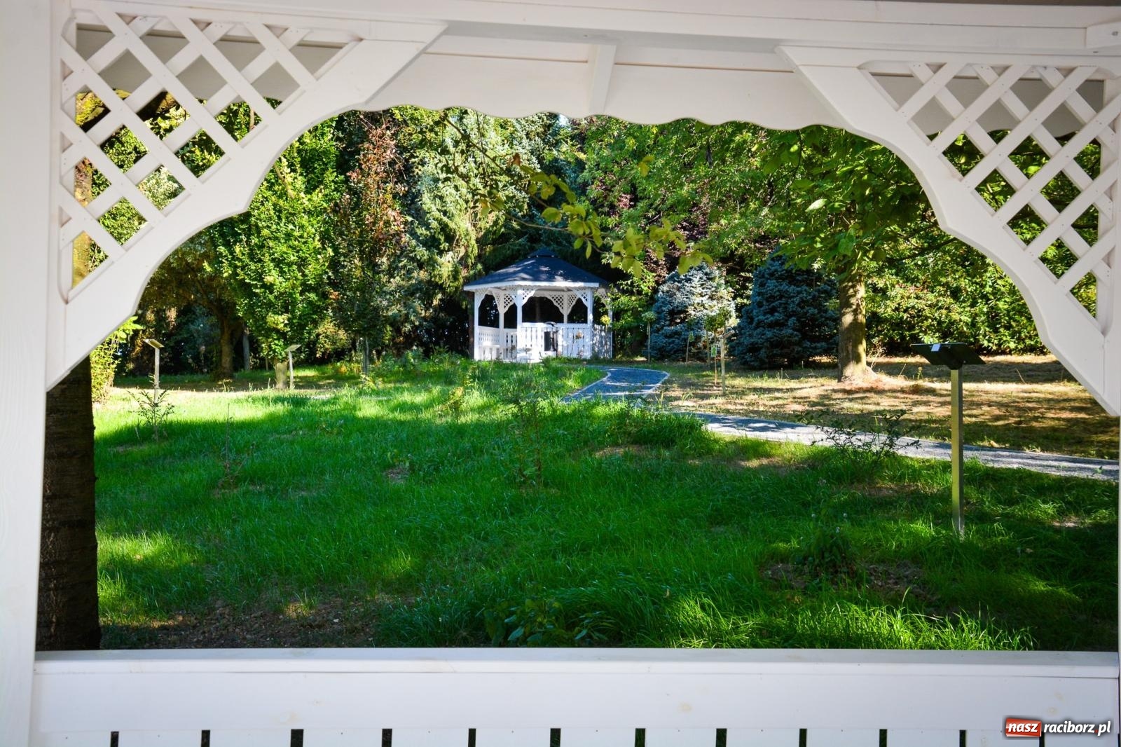 Zdjęcie w galerii na portalu naszraciborz.pl: Nowe, wyjątkowe miejsce na mapie powiatu raciborskiego. Z rajską jabłonią [FOTO i WIDEO] wiadomości z regionu