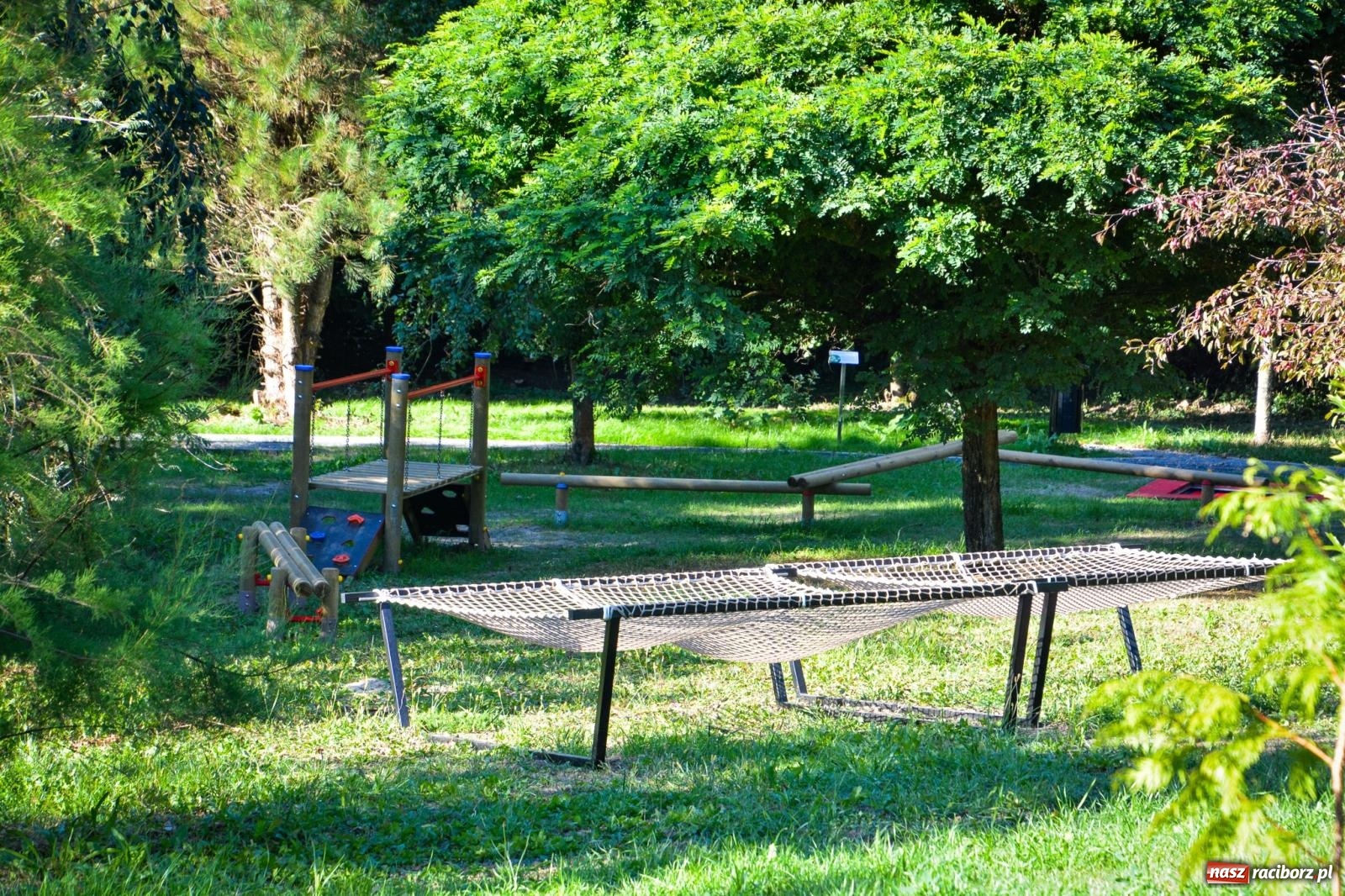 Zdjęcie w galerii na portalu naszraciborz.pl: Nowe, wyjątkowe miejsce na mapie powiatu raciborskiego. Z rajską jabłonią [FOTO i WIDEO] wiadomości z regionu