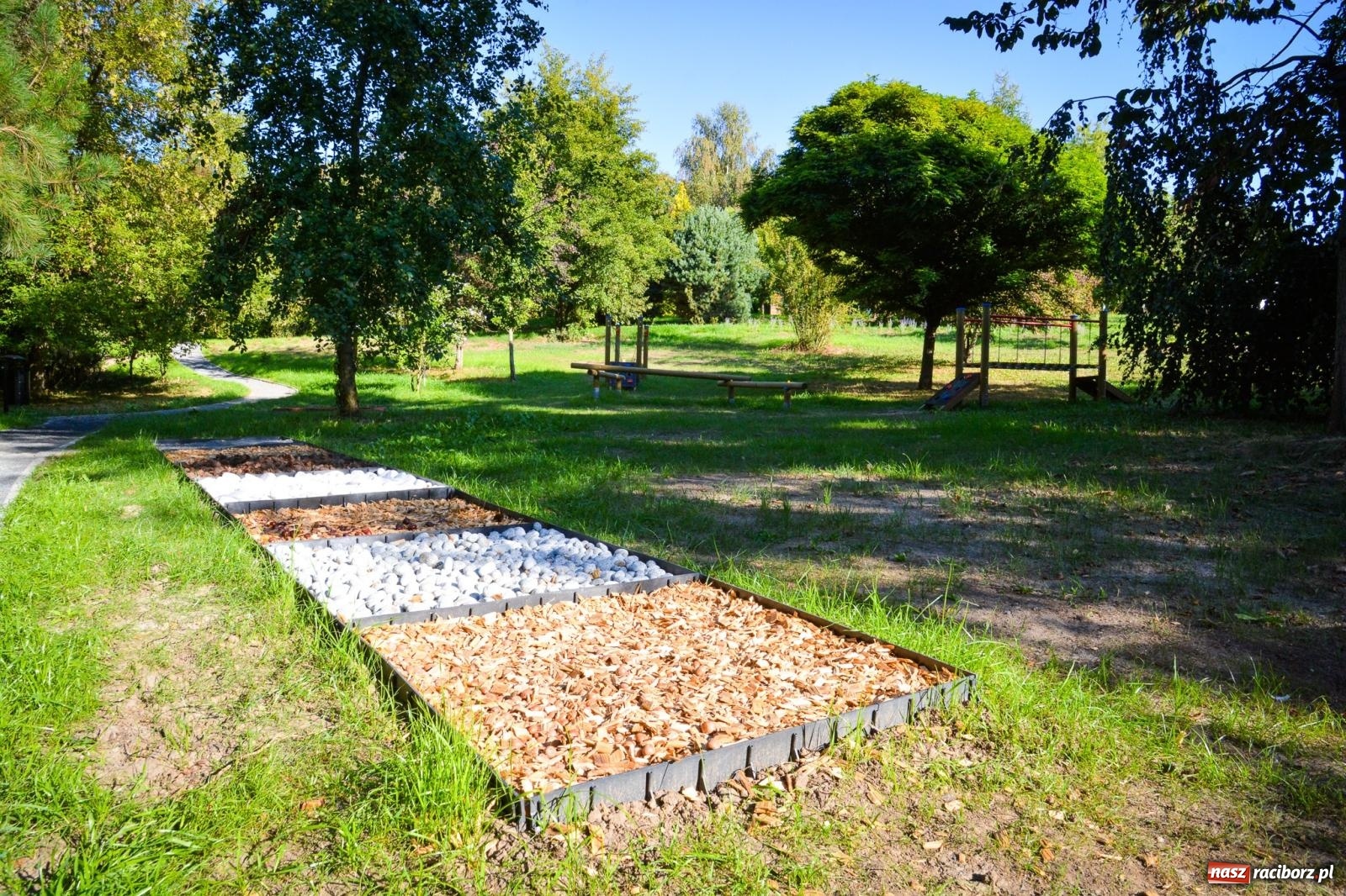 Zdjęcie w galerii na portalu naszraciborz.pl: Nowe, wyjątkowe miejsce na mapie powiatu raciborskiego. Z rajską jabłonią [FOTO i WIDEO] wiadomości z regionu