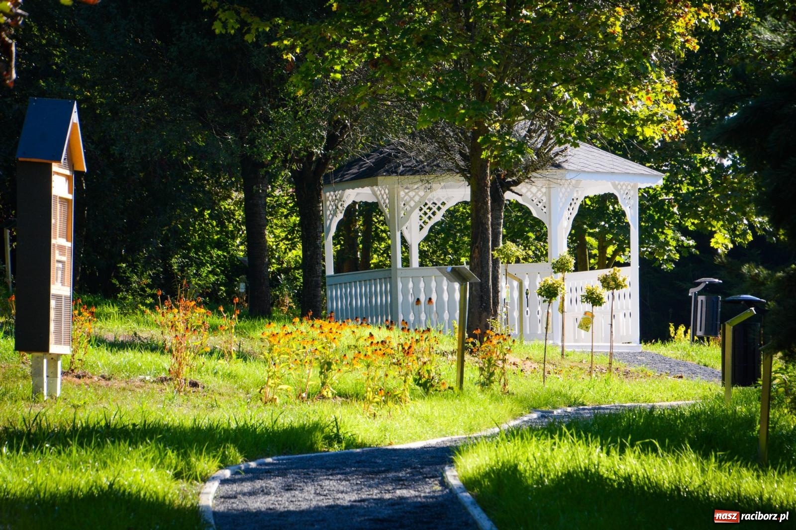Zdjęcie w galerii na portalu naszraciborz.pl: Nowe, wyjątkowe miejsce na mapie powiatu raciborskiego. Z rajską jabłonią [FOTO i WIDEO] wiadomości z regionu