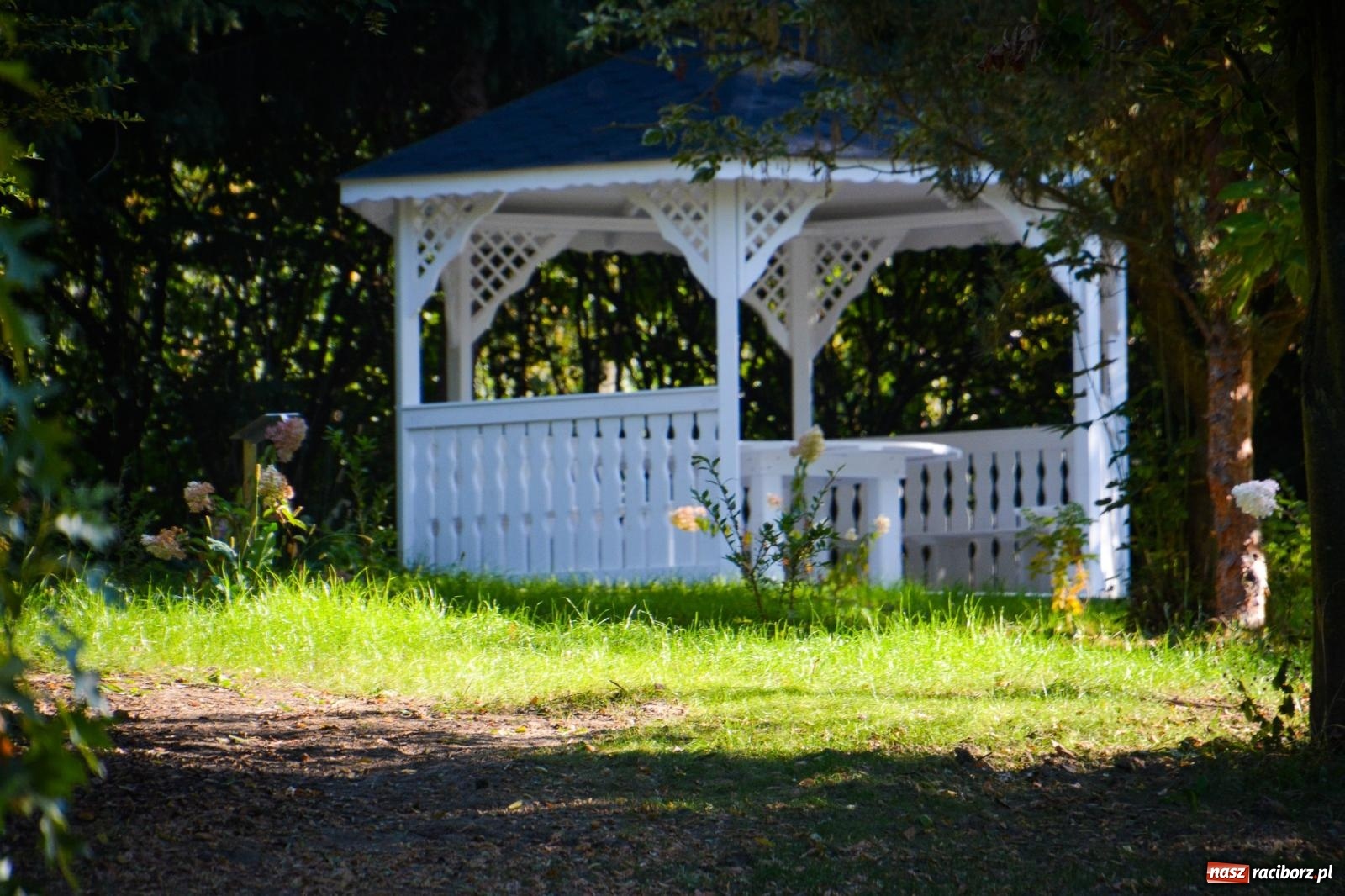 Zdjęcie w galerii na portalu naszraciborz.pl: Nowe, wyjątkowe miejsce na mapie powiatu raciborskiego. Z rajską jabłonią [FOTO i WIDEO] wiadomości z regionu