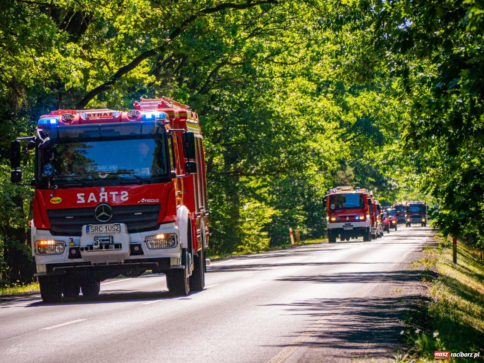 Zdjęcie w galerii na portalu naszraciborz.pl: 33. rocznica wielkiego pożaru lasów w Kuźni Raciborskiej – hołd dla bohaterów [FOTO i WIDEO] wiadomości z regionu