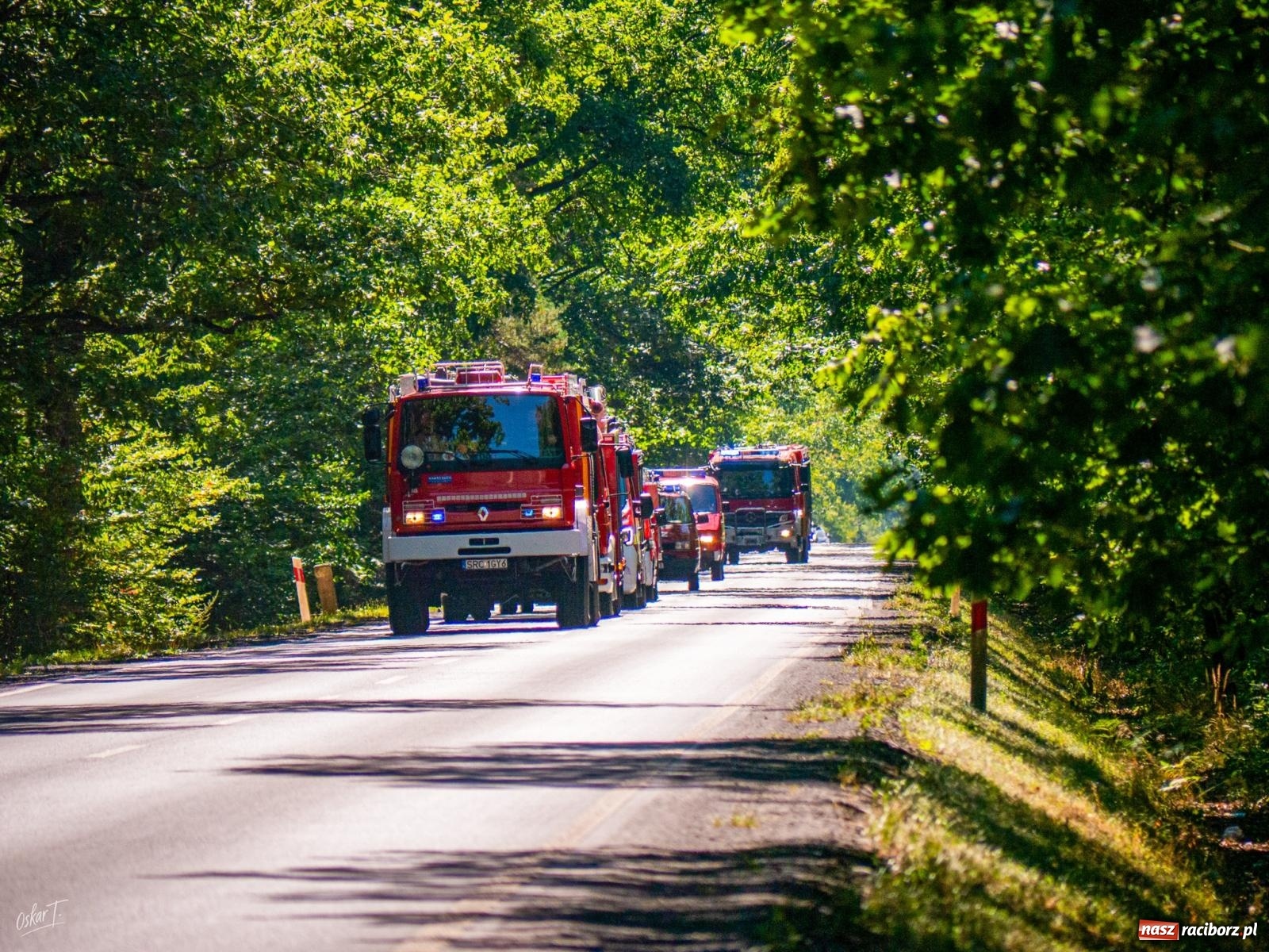 Zdjęcie w galerii na portalu naszraciborz.pl: 33. rocznica wielkiego pożaru lasów w Kuźni Raciborskiej – hołd dla bohaterów [FOTO i WIDEO] wiadomości z regionu