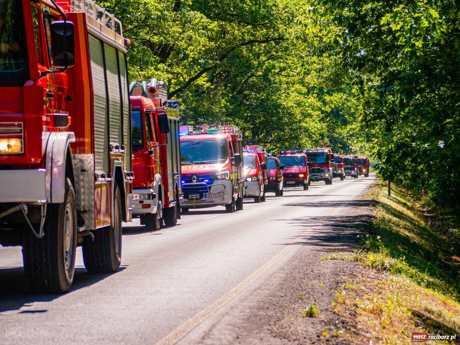 Zdjęcie w galerii na portalu naszraciborz.pl: 33. rocznica wielkiego pożaru lasów w Kuźni Raciborskiej – hołd dla bohaterów [FOTO i WIDEO] wiadomości z regionu