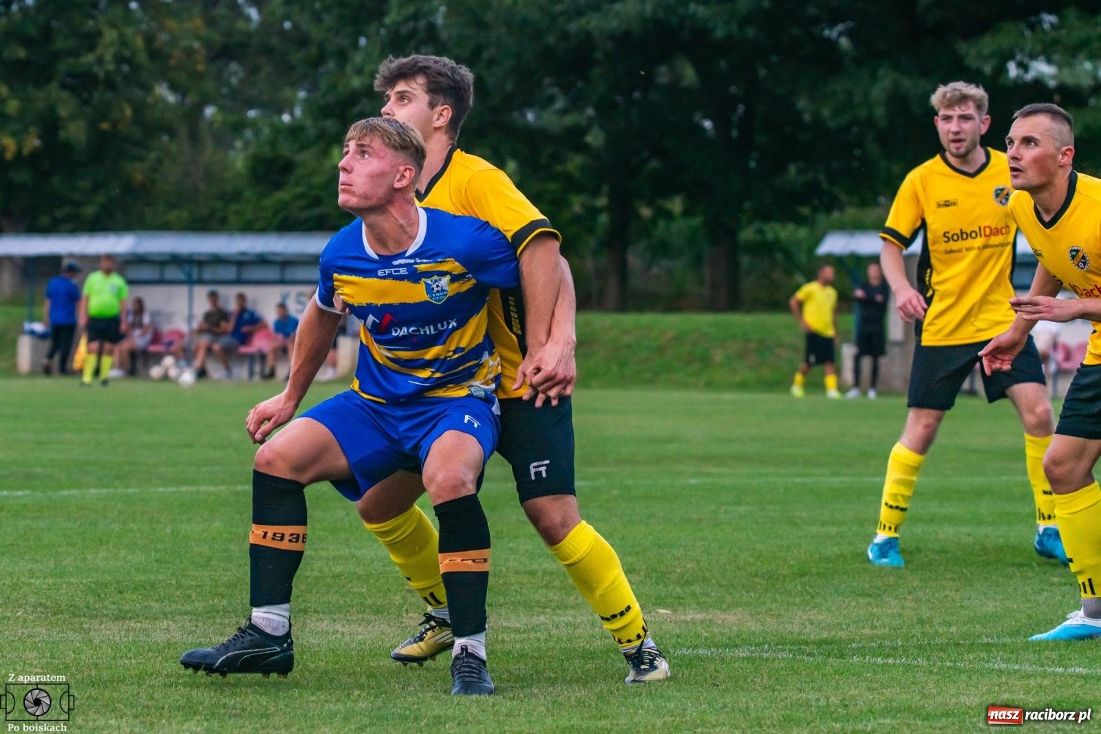 Zdjęcie w galerii na portalu naszraciborz.pl: Puchar Polski: Udany rewanż Syryni za porażkę w lidze [FOTO] wiadomości z regionu