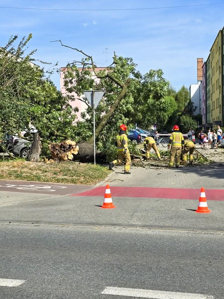 Zdjęcie w galerii na portalu naszraciborz.pl: Strażacy w akcji – wichura i pożary traw w regionie [FOTO] wiadomości z regionu