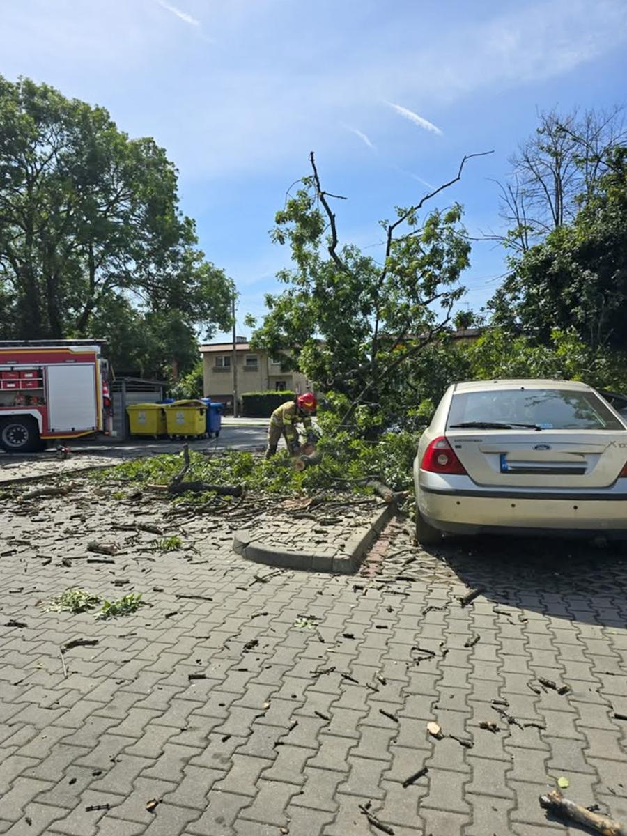 Zdjęcie w galerii na portalu naszraciborz.pl: Strażacy w akcji – wichura i pożary traw w regionie [FOTO] wiadomości z regionu