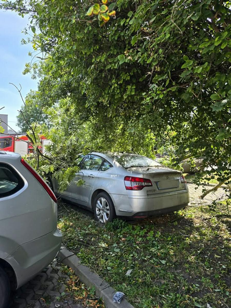 Zdjęcie w galerii na portalu naszraciborz.pl: Strażacy w akcji – wichura i pożary traw w regionie [FOTO] wiadomości z regionu