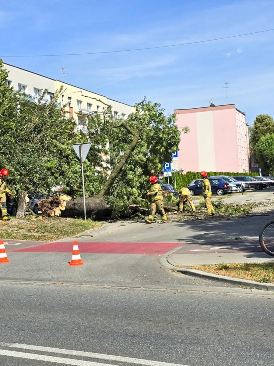 Zdjęcie w galerii na portalu naszraciborz.pl: Strażacy w akcji – wichura i pożary traw w regionie [FOTO] wiadomości z regionu