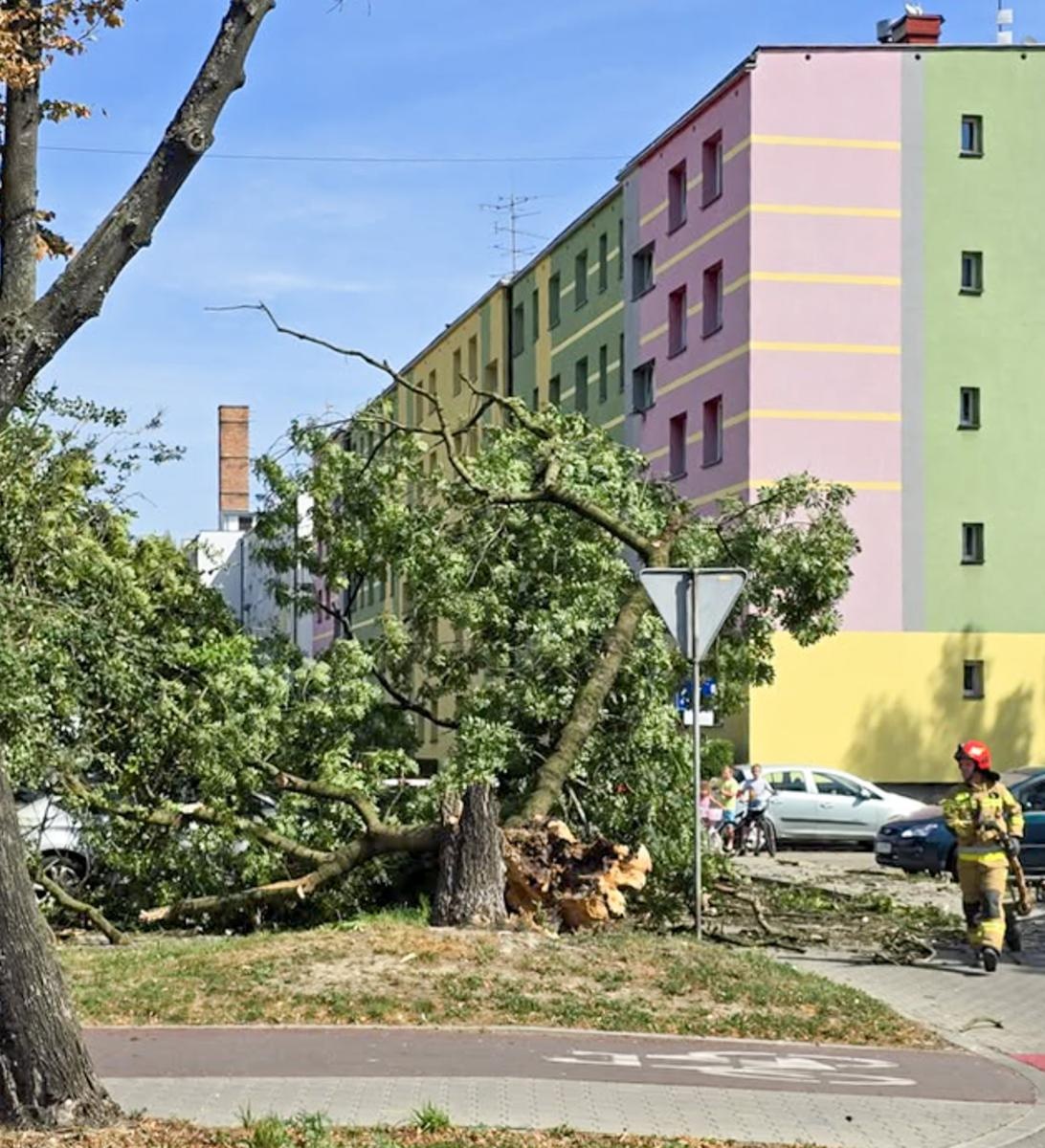 Zdjęcie w galerii na portalu naszraciborz.pl: Strażacy w akcji – wichura i pożary traw w regionie [FOTO] wiadomości z regionu