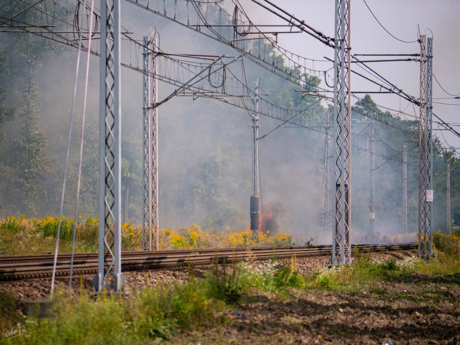 Zdjęcie w galerii na portalu naszraciborz.pl: Strażacy w akcji – wichura i pożary traw w regionie [FOTO] wiadomości z regionu