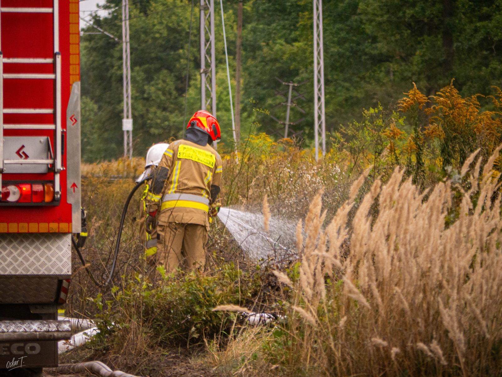 Zdjęcie w galerii na portalu naszraciborz.pl: Strażacy w akcji – wichura i pożary traw w regionie [FOTO] wiadomości z regionu