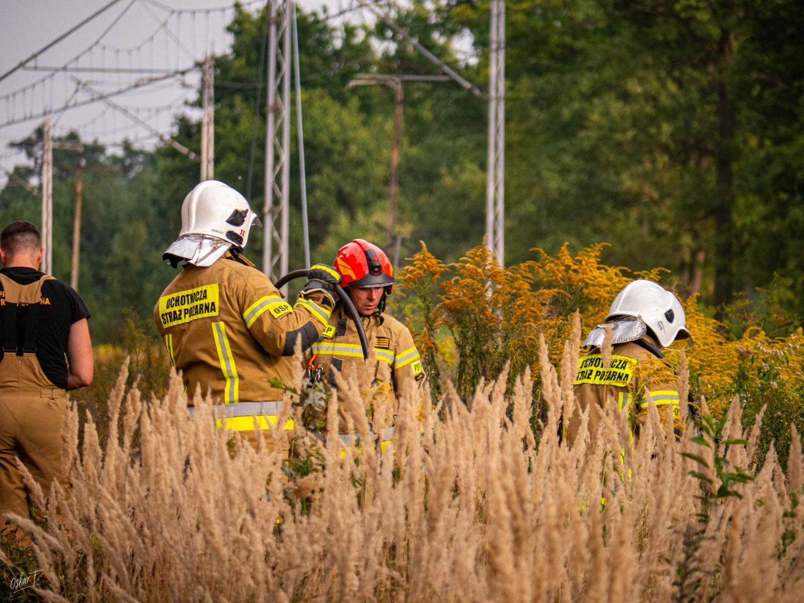 Zdjęcie w galerii na portalu naszraciborz.pl: Strażacy w akcji – wichura i pożary traw w regionie [FOTO] wiadomości z regionu