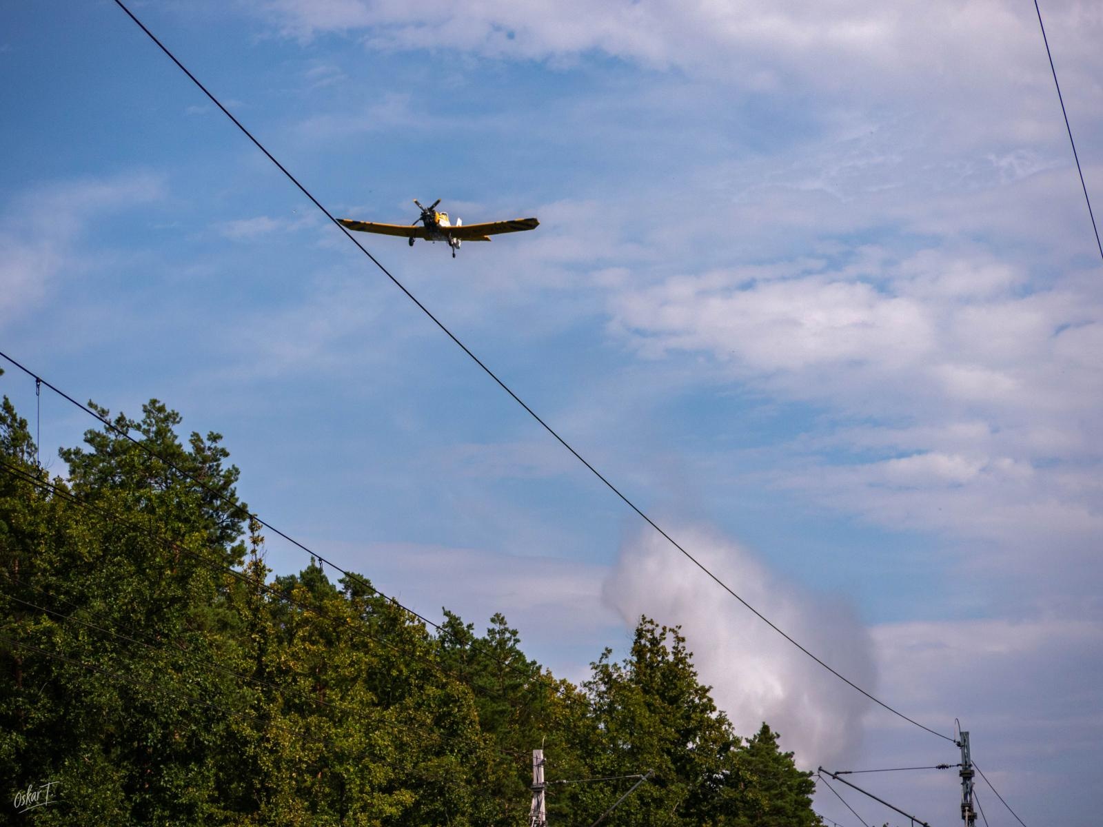 Zdjęcie w galerii na portalu naszraciborz.pl: Strażacy w akcji – wichura i pożary traw w regionie [FOTO] wiadomości z regionu