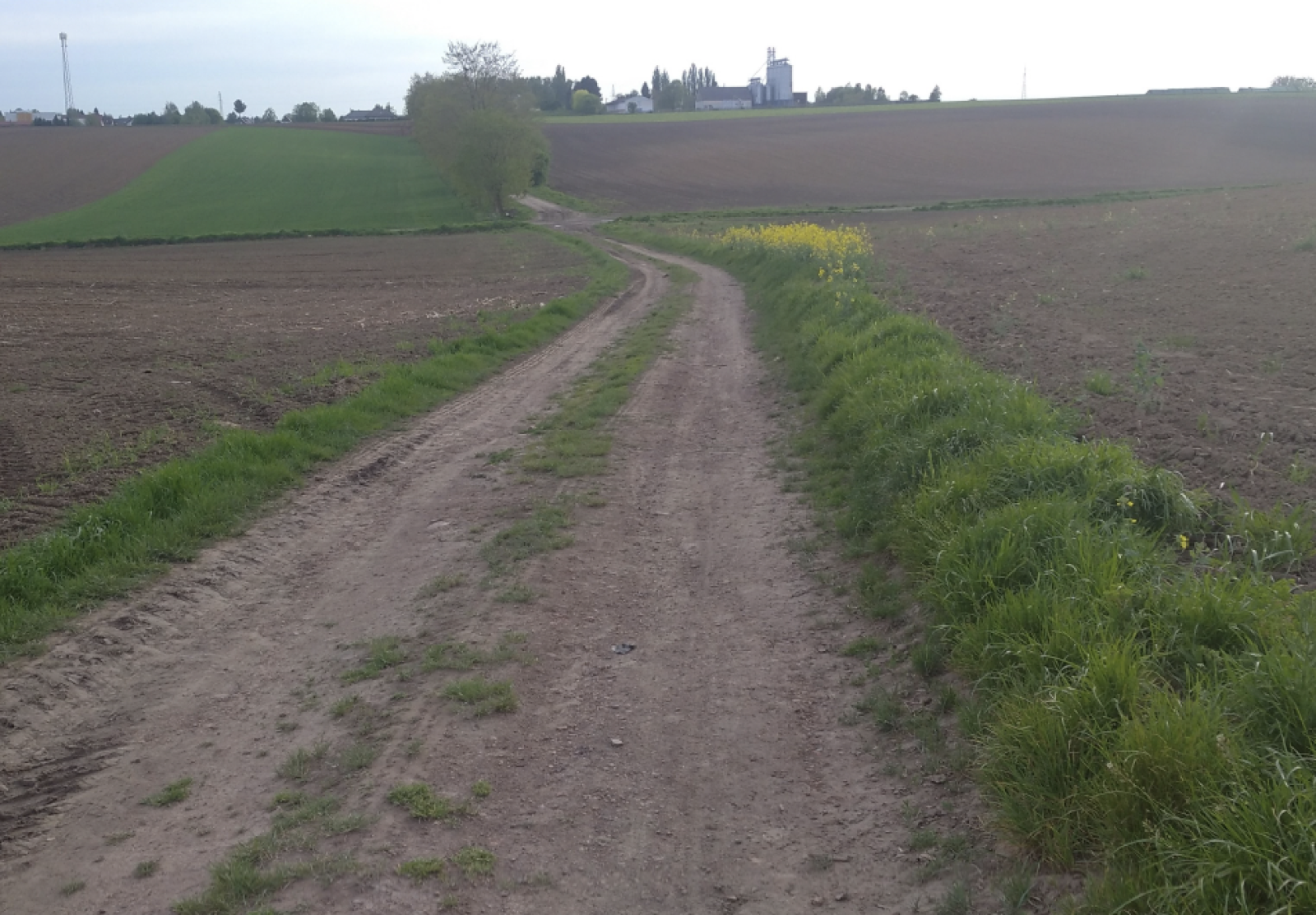 Zdjęcie w galerii na portalu naszraciborz.pl: Racibórz modernizuje drogę dojazdową do gruntów rolnych – ogłoszono przetarg wiadomości z regionu