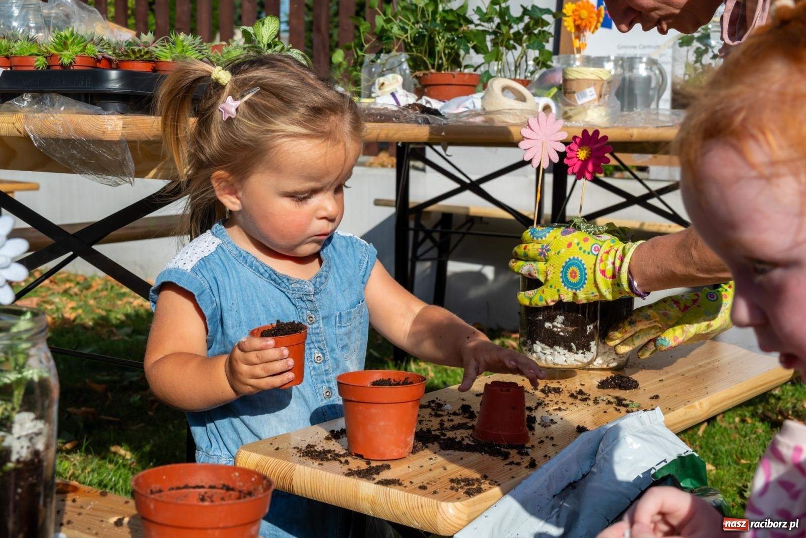 Zdjęcie w galerii na portalu naszraciborz.pl: Wkręceni w klimat. Sąsiedzki piknik ekologiczny w Bojanowie wiadomości z regionu