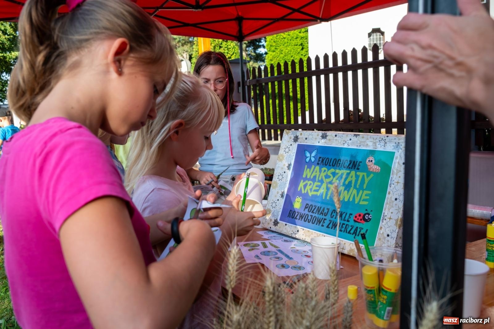 Zdjęcie w galerii na portalu naszraciborz.pl: Wkręceni w klimat. Sąsiedzki piknik ekologiczny w Bojanowie wiadomości z regionu