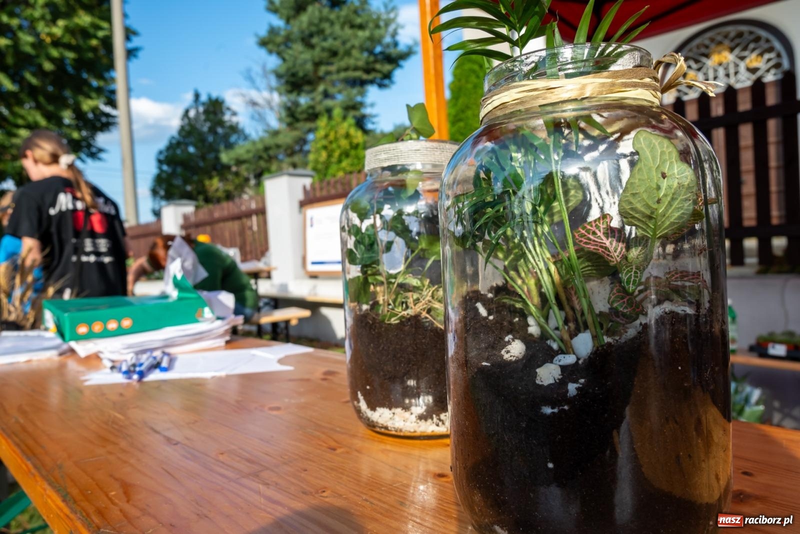 Zdjęcie w galerii na portalu naszraciborz.pl: Wkręceni w klimat. Sąsiedzki piknik ekologiczny w Bojanowie wiadomości z regionu