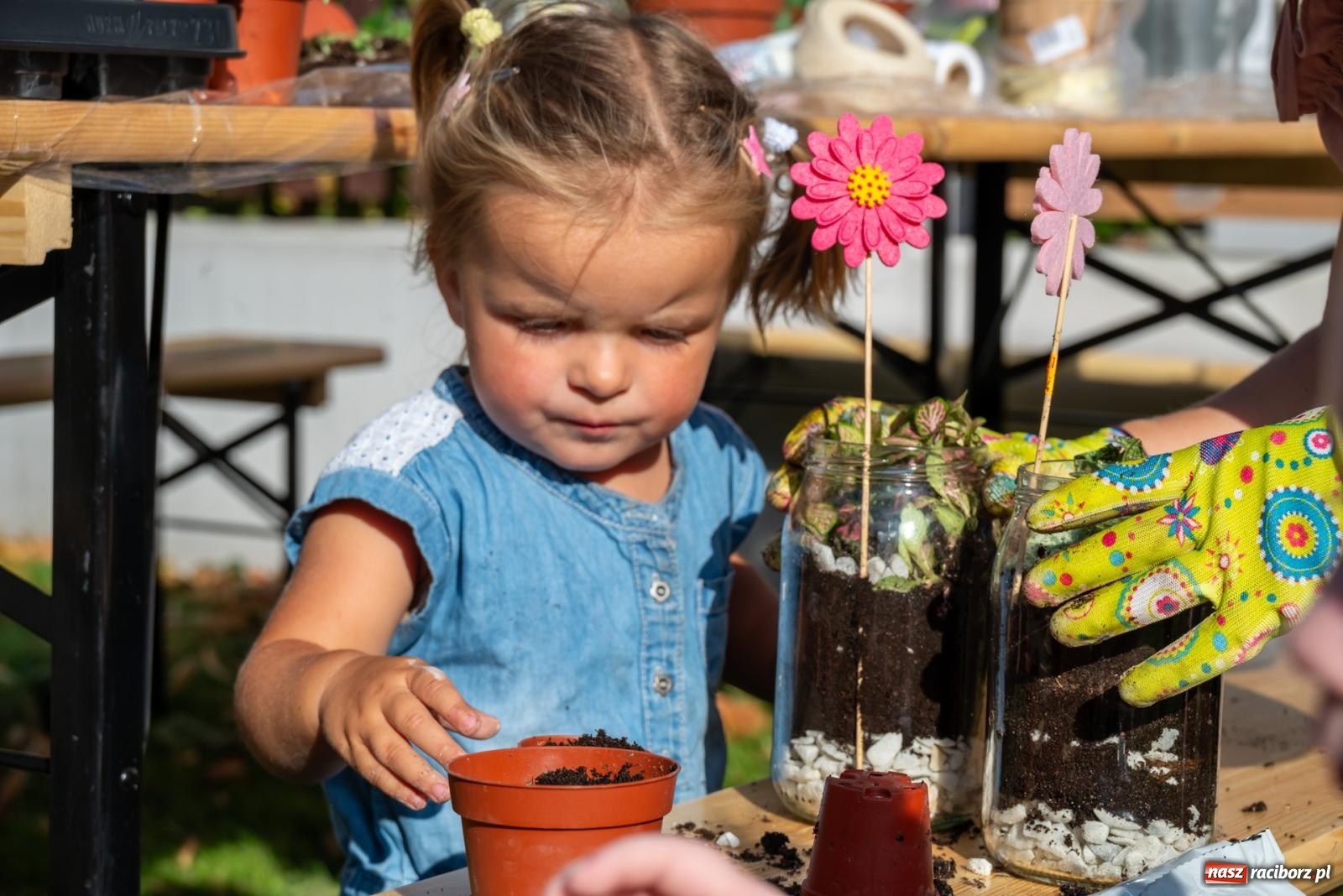Zdjęcie w galerii na portalu naszraciborz.pl: Wkręceni w klimat. Sąsiedzki piknik ekologiczny w Bojanowie wiadomości z regionu