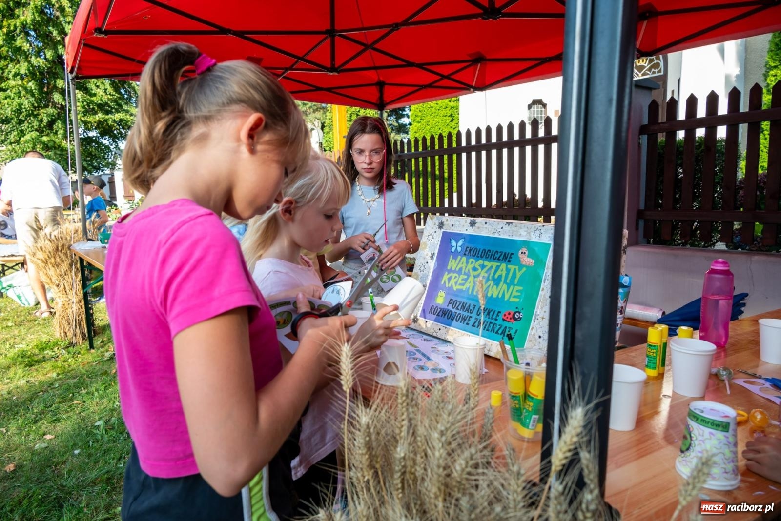 Zdjęcie w galerii na portalu naszraciborz.pl: Wkręceni w klimat. Sąsiedzki piknik ekologiczny w Bojanowie wiadomości z regionu