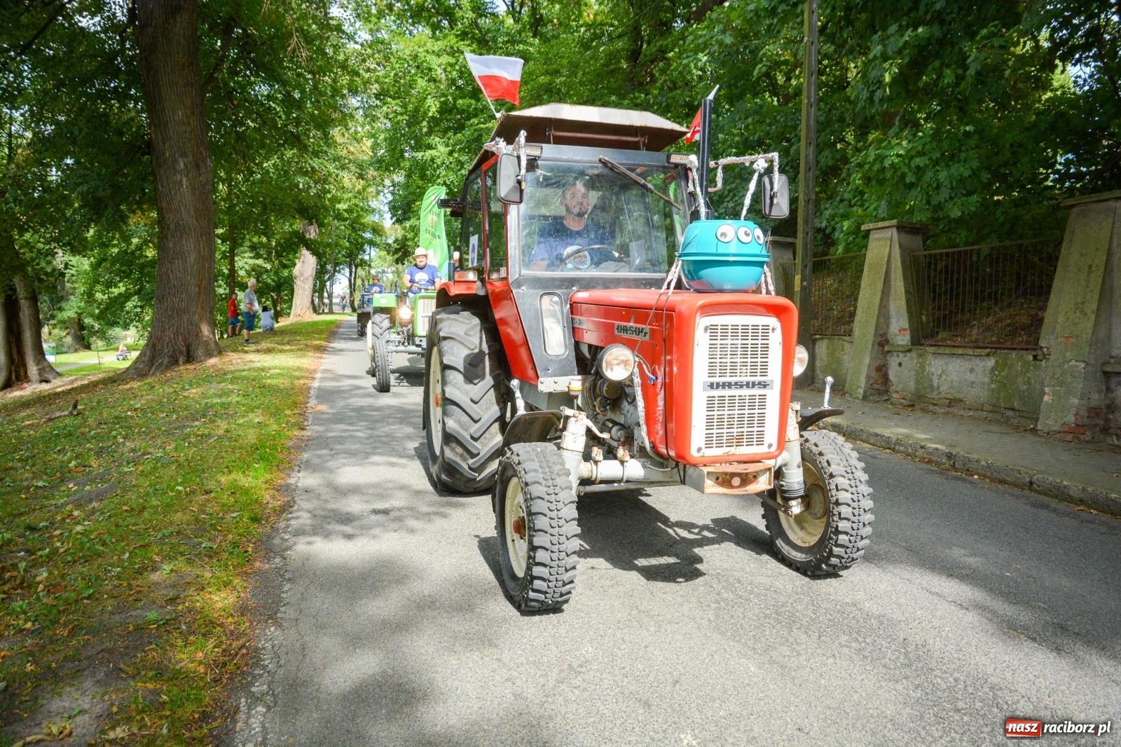 Zdjęcie w galerii na portalu naszraciborz.pl: Gra o plon, czyli parada maszyn rolniczych w Krowiarkach [FOTO i WIDEO] wiadomości z regionu