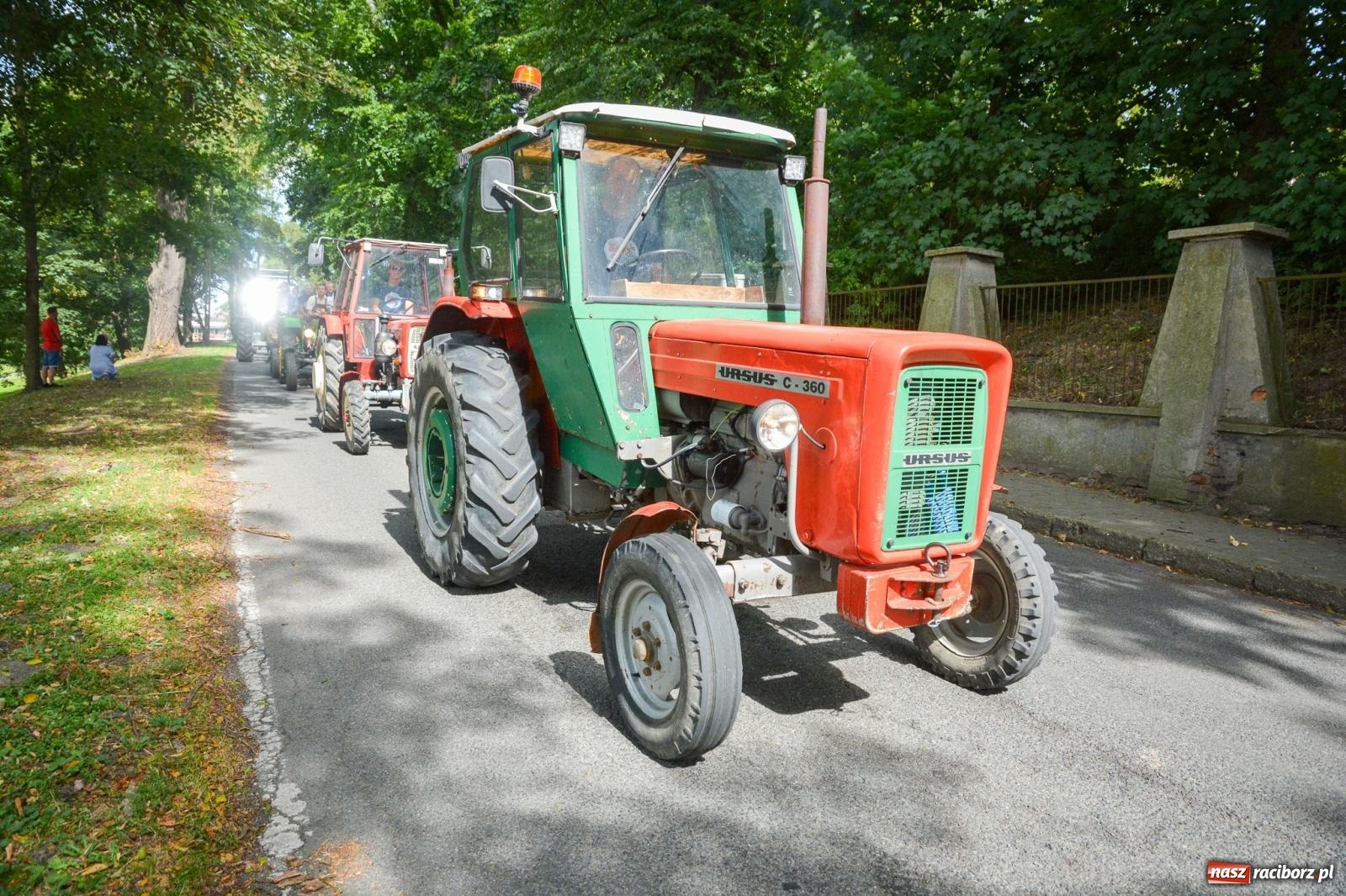 Zdjęcie w galerii na portalu naszraciborz.pl: Gra o plon, czyli parada maszyn rolniczych w Krowiarkach [FOTO i WIDEO] wiadomości z regionu