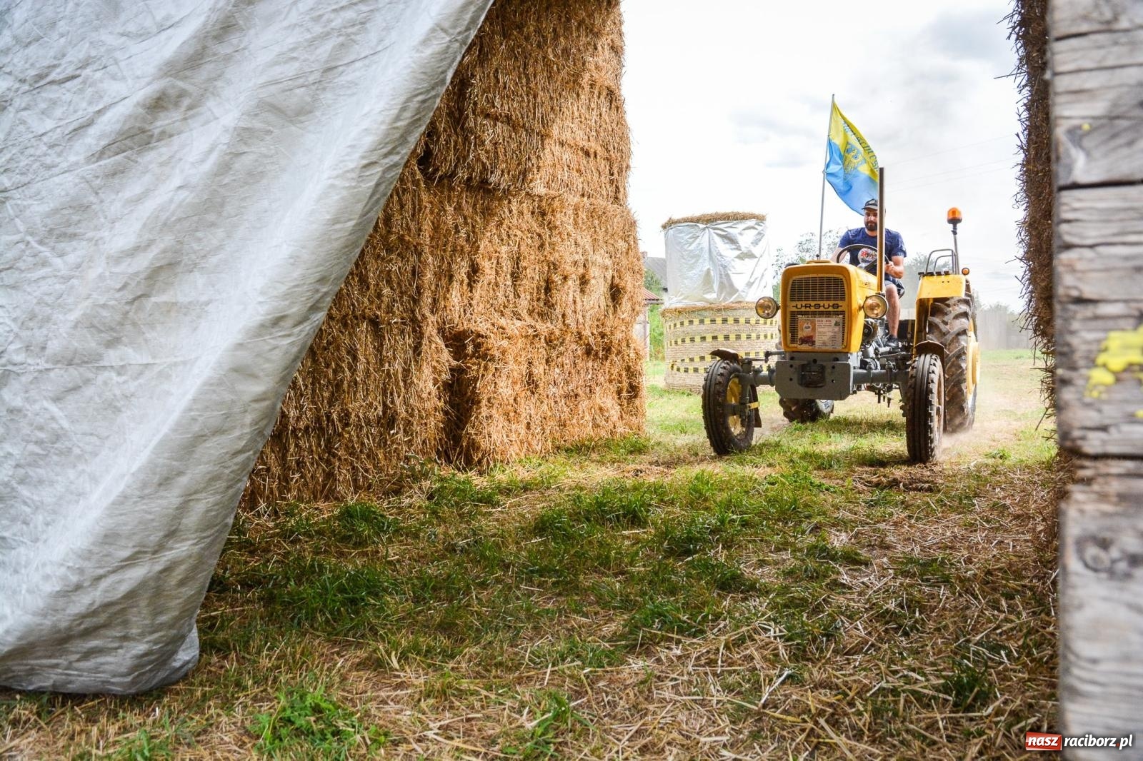 Zdjęcie w galerii na portalu naszraciborz.pl: Hałas, błoto i niespodzianki. Ciapek Racing wrócił do Krowiarek! [FOTO i WIDEO] wiadomości z regionu