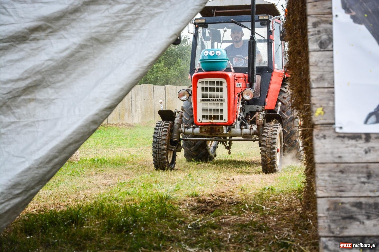 Zdjęcie w galerii na portalu naszraciborz.pl: Hałas, błoto i niespodzianki. Ciapek Racing wrócił do Krowiarek! [FOTO i WIDEO] wiadomości z regionu