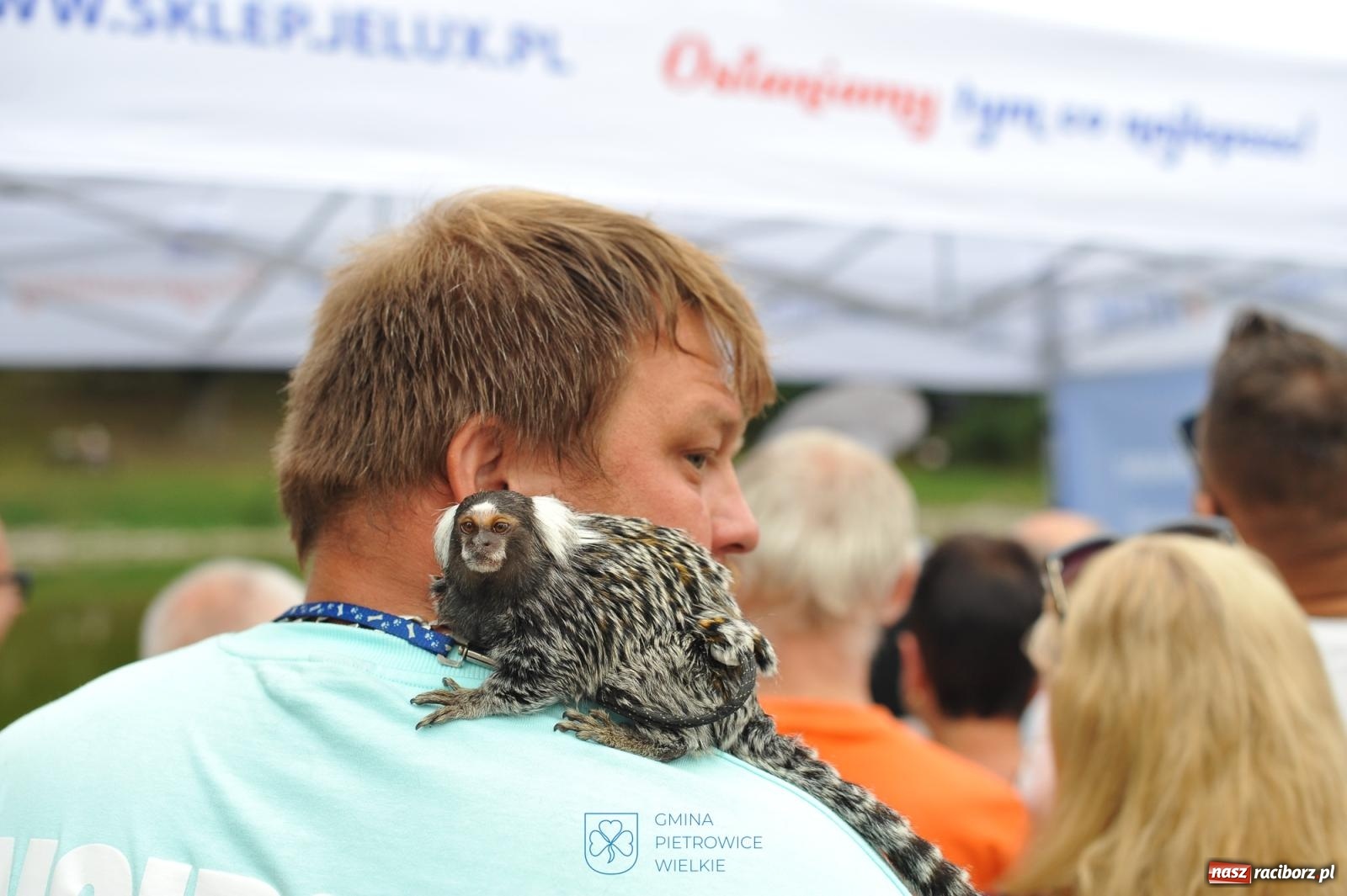 Zdjęcie w galerii na portalu naszraciborz.pl: Hałas, błoto i niespodzianki. Ciapek Racing wrócił do Krowiarek! [FOTO i WIDEO] wiadomości z regionu