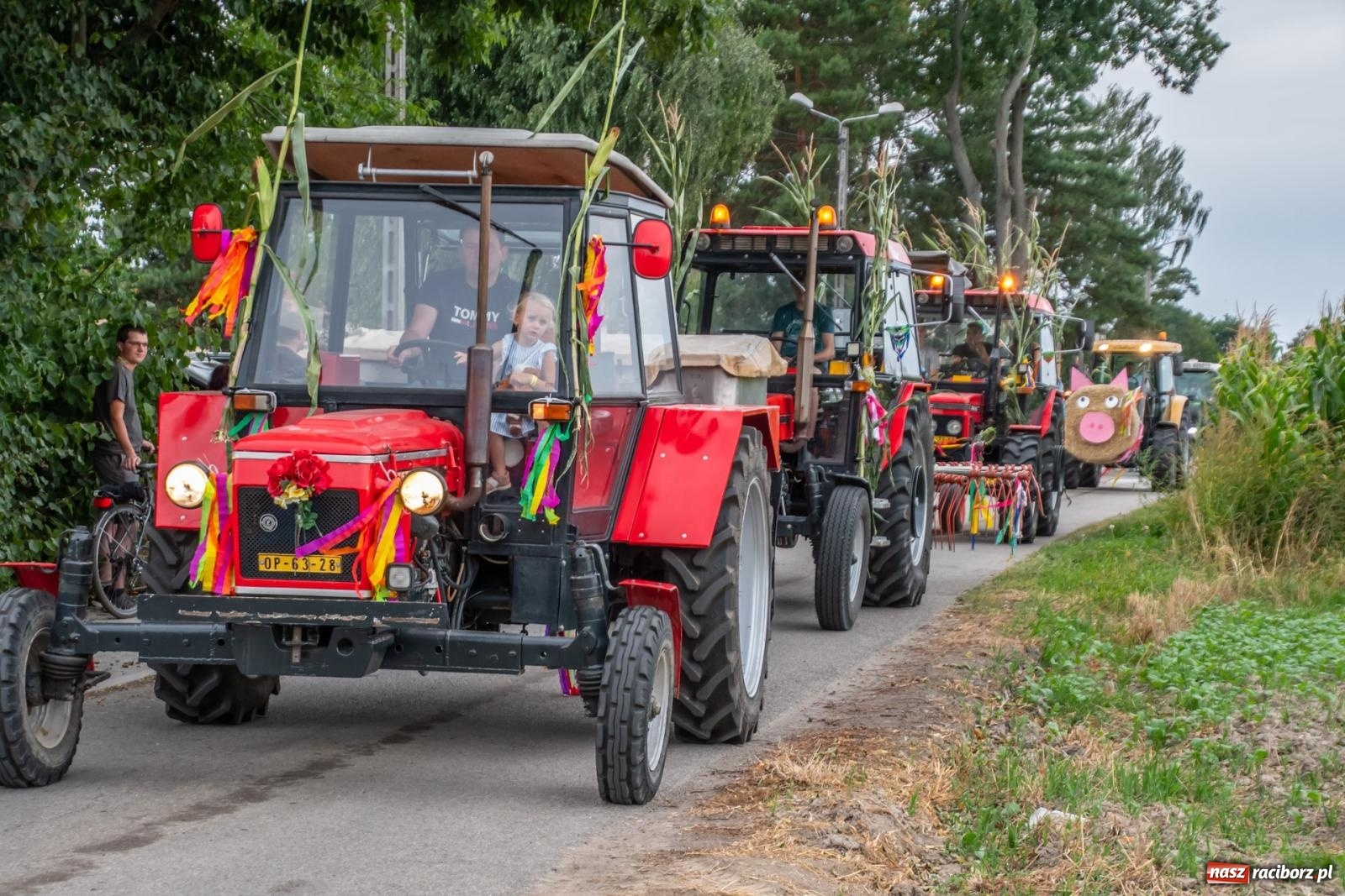 Zdjęcie w galerii na portalu naszraciborz.pl: Dożynki w Rudyszwałdzie. Kolorowy pokaz maszyn rolniczych z weneckim akcentem [FOTO i WIDEO] wiadomości z regionu