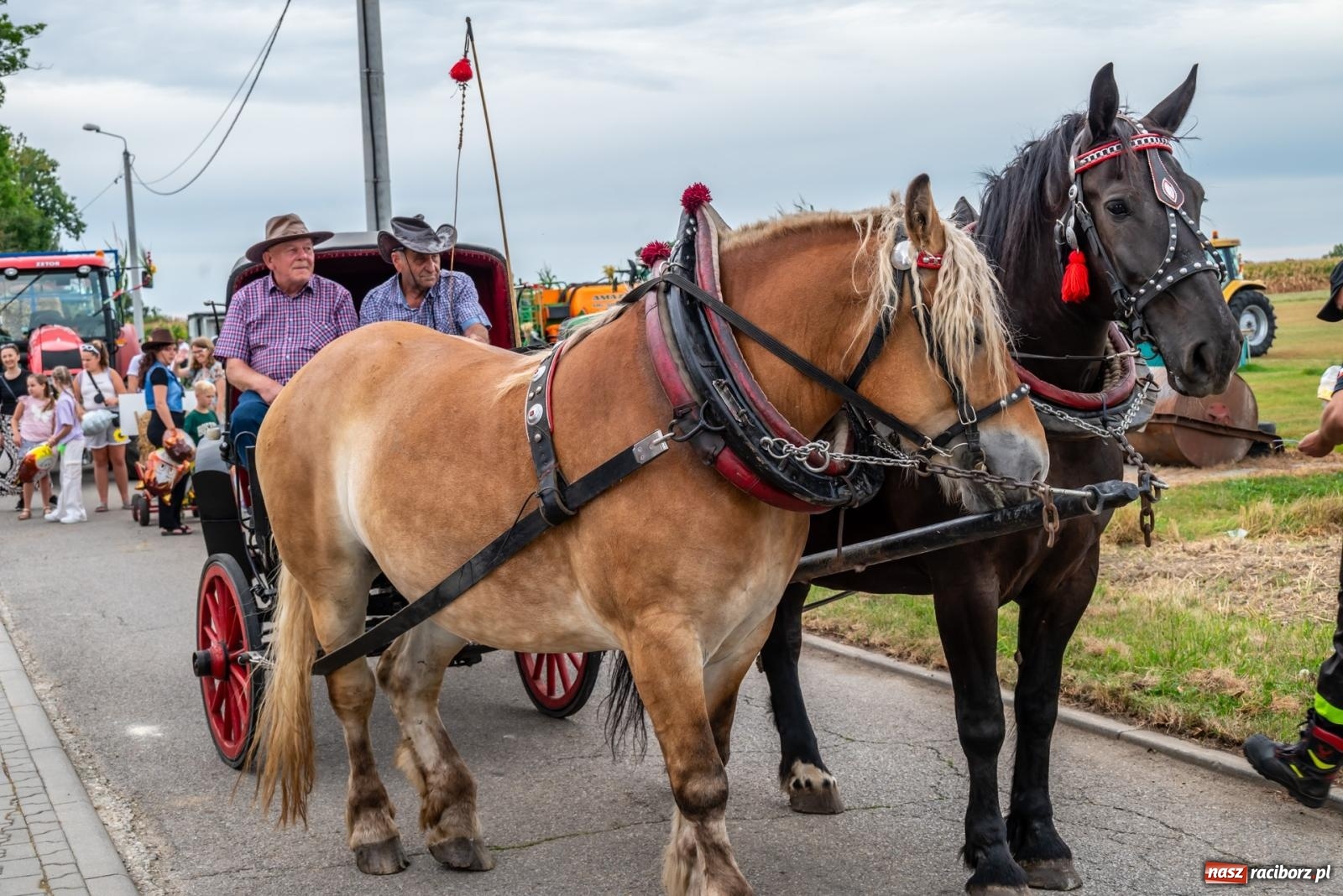 Zdjęcie w galerii na portalu naszraciborz.pl: Dożynki w Rudyszwałdzie. Kolorowy pokaz maszyn rolniczych z weneckim akcentem [FOTO i WIDEO] wiadomości z regionu