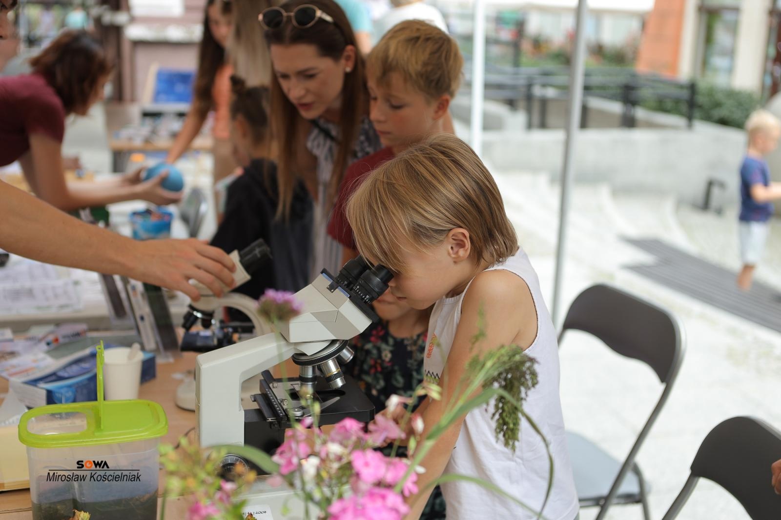 Zdjęcie w galerii na portalu naszraciborz.pl: Magia nauki na ulicy Długiej. IV Festiwal Odkrywców zachwycił Racibórz wiadomości z regionu