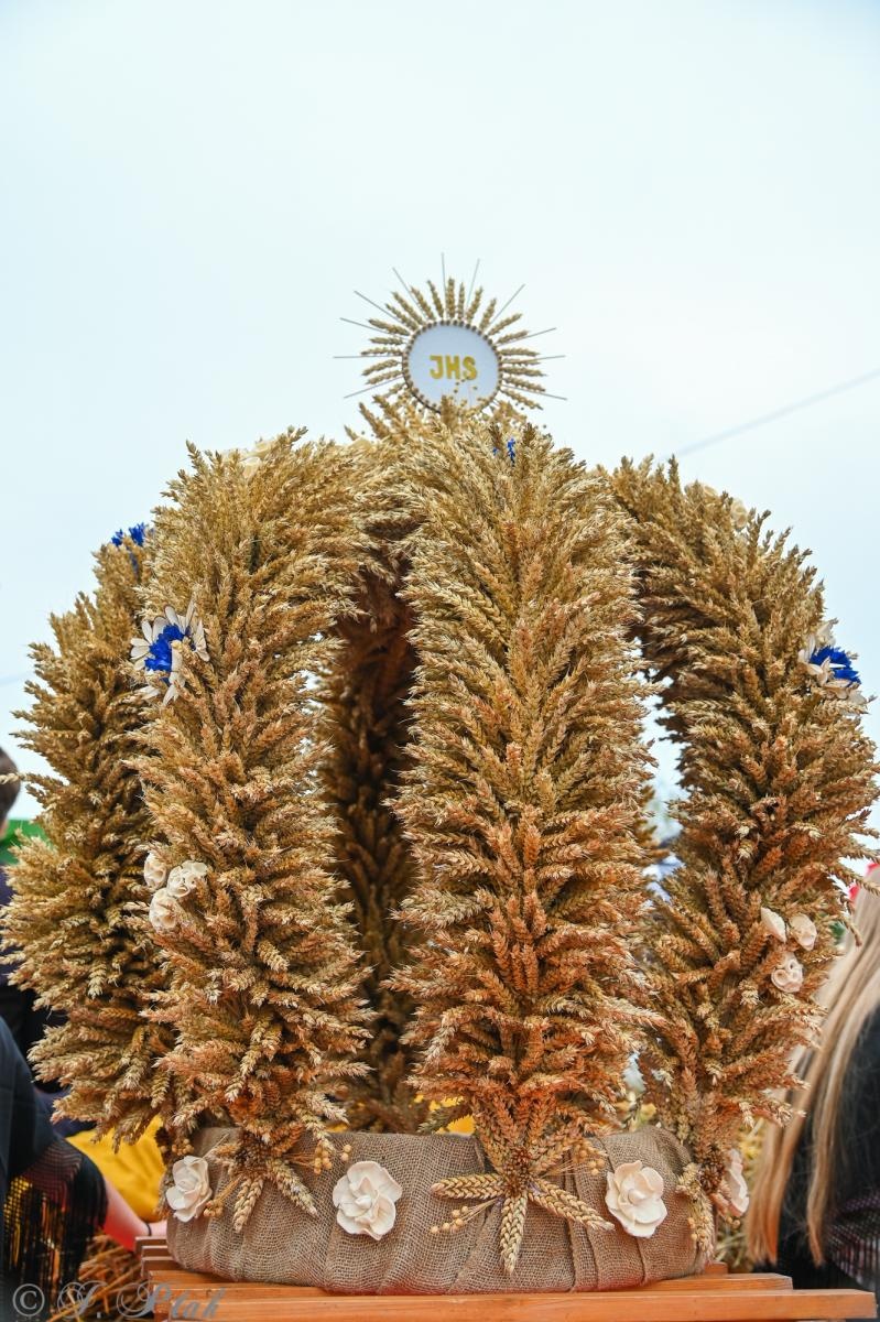 Zdjęcie w galerii na portalu naszraciborz.pl: Barwny korowód dożynkowy przejechał przez Wojnowice wiadomości z regionu