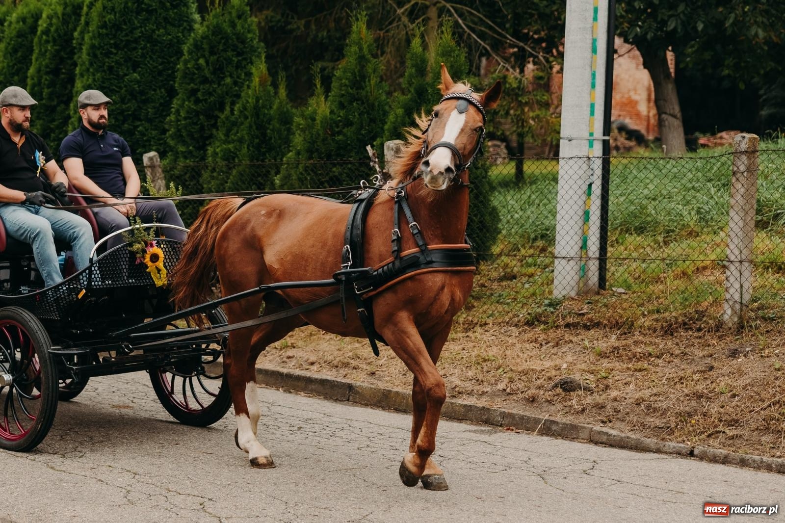Zdjęcie w galerii na portalu naszraciborz.pl: Kosmiczny wyścig i powrót do korzeni – dożynki w Krowiarkach pełne atrakcji wiadomości z regionu