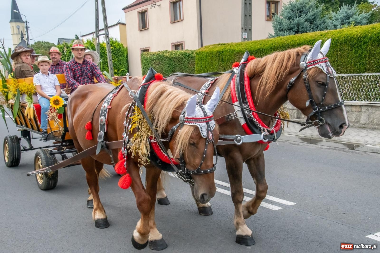 Zdjęcie w galerii na portalu naszraciborz.pl: Dożynki w Krzyżanowicach. Uśmiech, dixieland i wielkie maszyny [FOTO i WIDEO] wiadomości z regionu