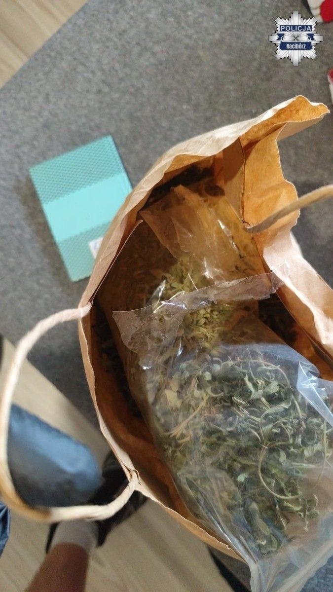 Zdjęcie w galerii na portalu naszraciborz.pl: Raciborscy kryminalni zlikwidowali linię produkcyjną narkotyków. Zatrzymano mieszkańca gm. Krzyżanowice wiadomości z regionu