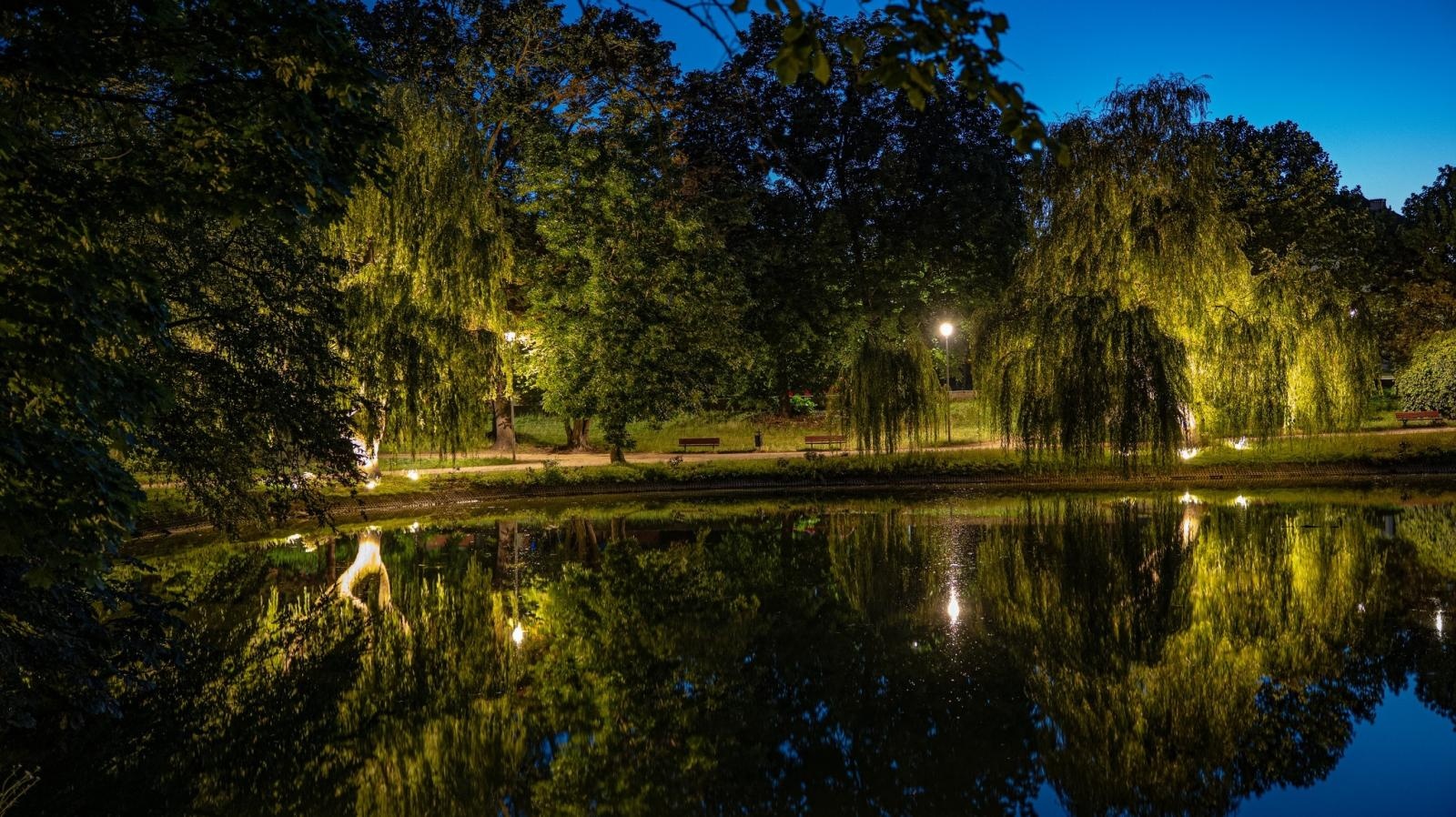 Zdjęcie w galerii na portalu naszraciborz.pl: Kontrowersje wokół podświetlania drzew w parku Roth. Ekologia kontra estetyka wiadomości z regionu