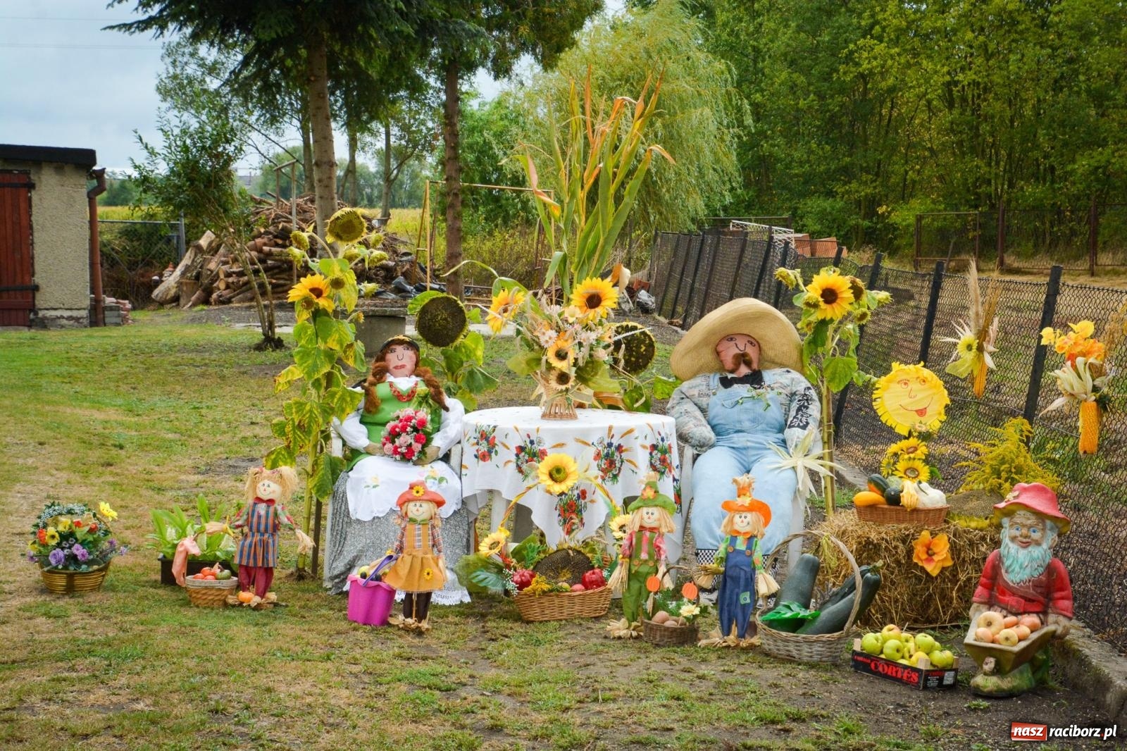Zdjęcie w galerii na portalu naszraciborz.pl: Siedliska świętują dożynki gminno-powiatowe. Korowód, koncerty i Bitwa smaków [FOTO i WIDEO] wiadomości z regionu
