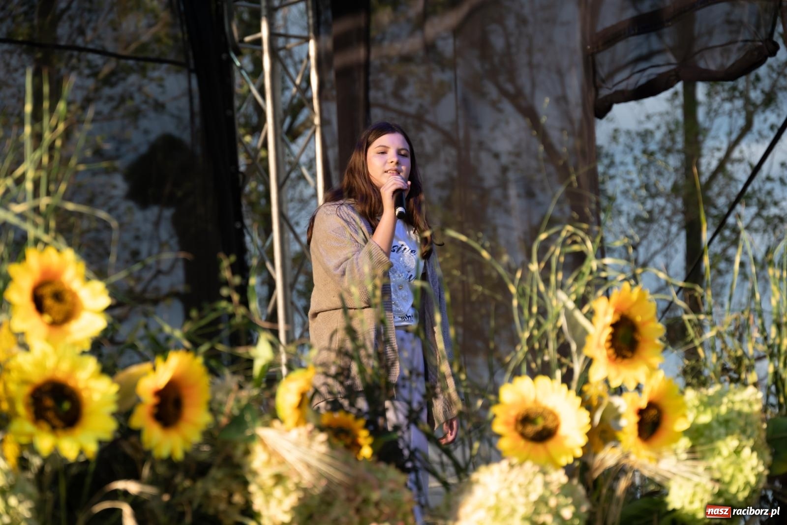 Zdjęcie w galerii na portalu naszraciborz.pl: Fajerwerki, młodzi artyści Fundacji ARS i Staś Karoń. Pierwszy dzień dożynek Gminy Krzyżanowice w Owsiszczach  wiadomości z regionu