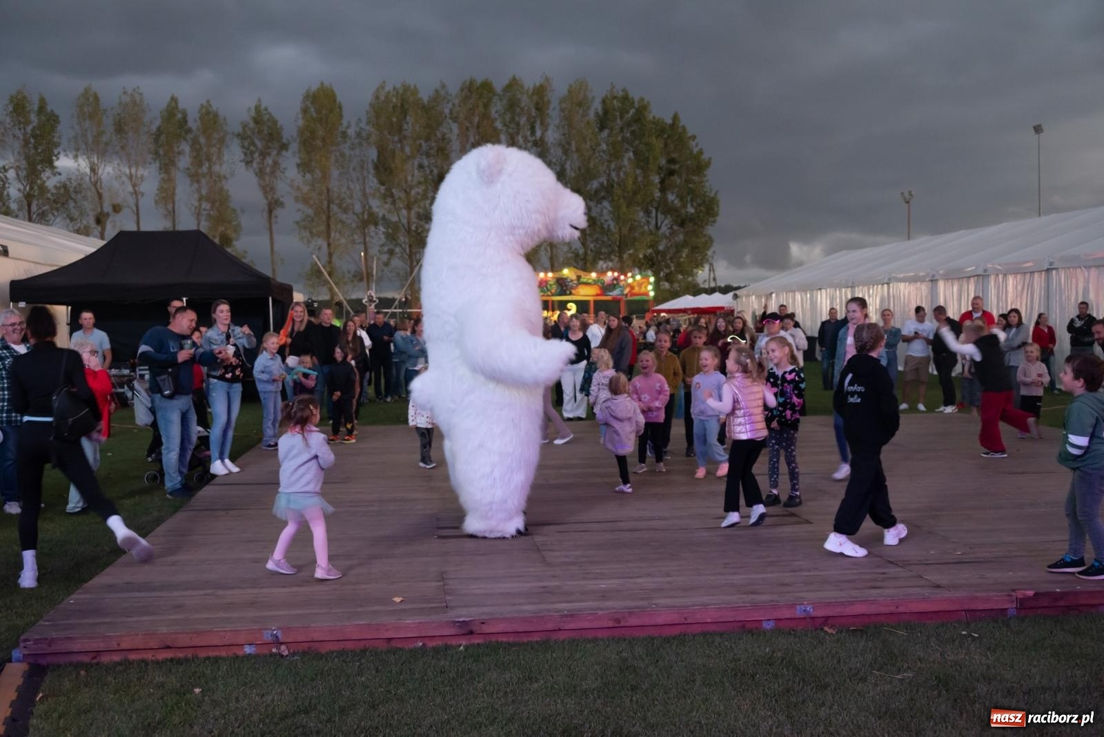 Zdjęcie w galerii na portalu naszraciborz.pl: Fajerwerki, młodzi artyści Fundacji ARS i Staś Karoń. Pierwszy dzień dożynek Gminy Krzyżanowice w Owsiszczach  wiadomości z regionu