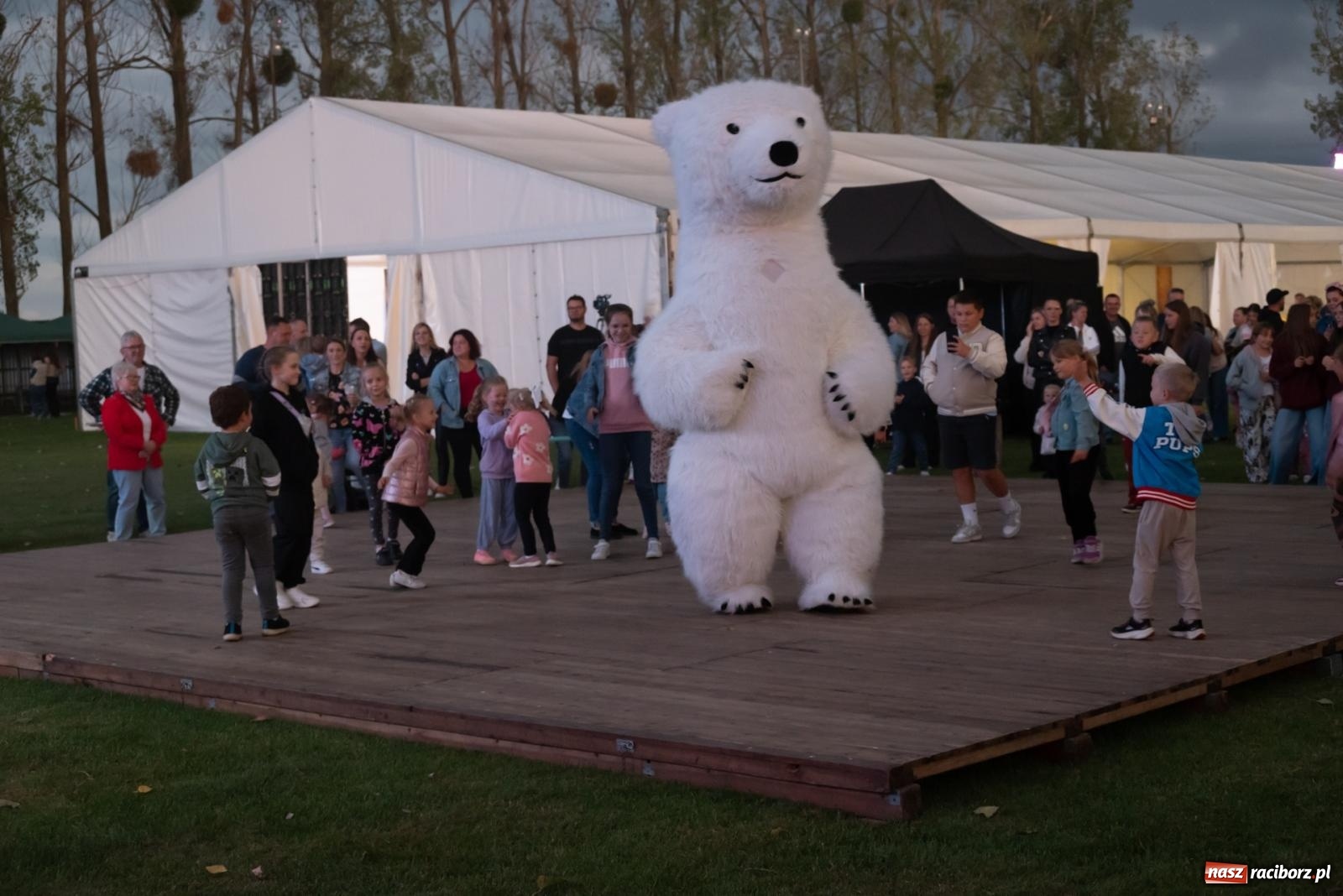 Zdjęcie w galerii na portalu naszraciborz.pl: Fajerwerki, młodzi artyści Fundacji ARS i Staś Karoń. Pierwszy dzień dożynek Gminy Krzyżanowice w Owsiszczach  wiadomości z regionu